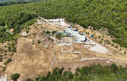 Bornova Yaka Mahallesi 1013 M2 Hisse Tapu Tarla