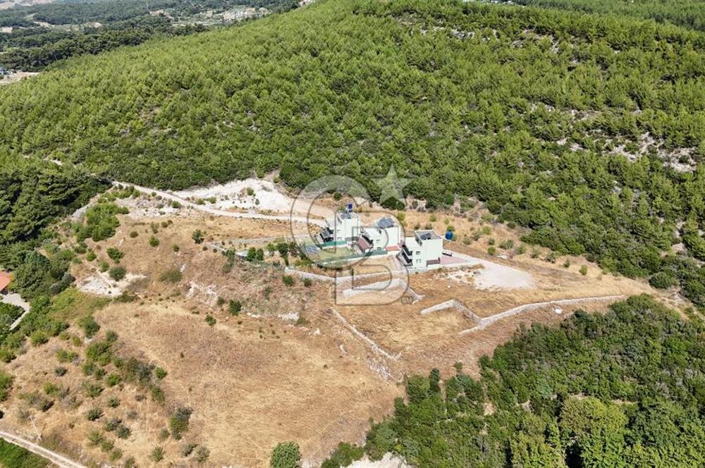 Bornova Yaka Mahallesi 1013 M2 Hisse Tapu Tarla