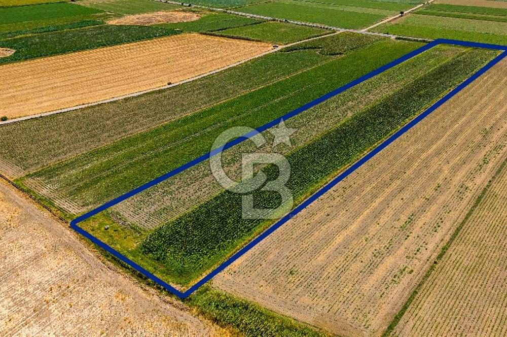 Foça Gerenköy'de Karayol Üzerinde Satılık Tarla