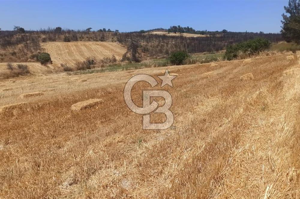 Çanakkale Erenköyde Boğaz Manzaralı Satılık Tarla