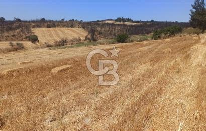 Çanakkale Erenköyde Boğaz Manzaralı Satılık Tarla