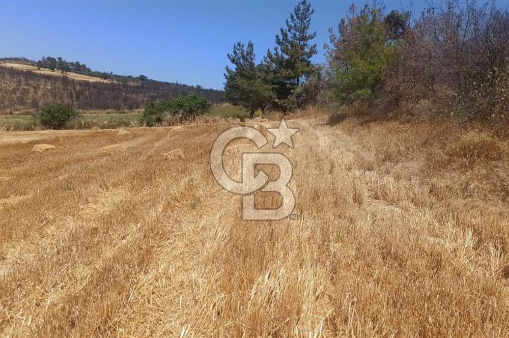 Çanakkale Erenköyde Boğaz Manzaralı Satılık Tarla