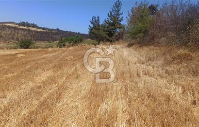 Çanakkale Erenköyde Boğaz Manzaralı Satılık Tarla