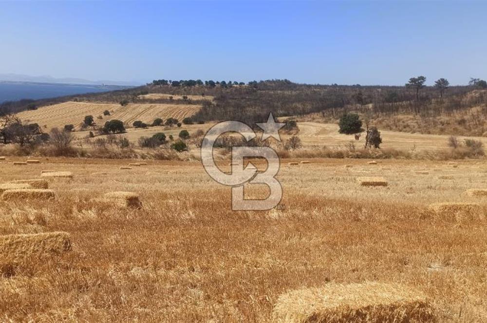 Çanakkale Erenköyde Boğaz Manzaralı Satılık Tarla
