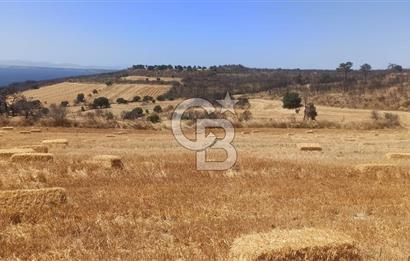 Çanakkale Erenköyde Boğaz Manzaralı Satılık Tarla