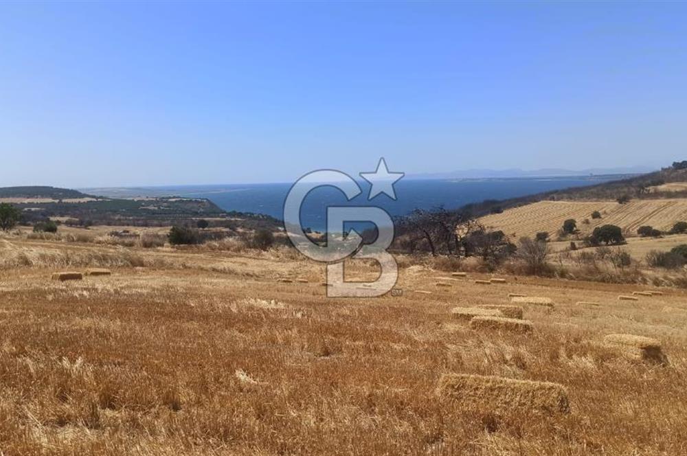 Çanakkale Erenköyde Boğaz Manzaralı Satılık Tarla