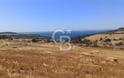 Çanakkale Erenköyde Boğaz Manzaralı Satılık Tarla