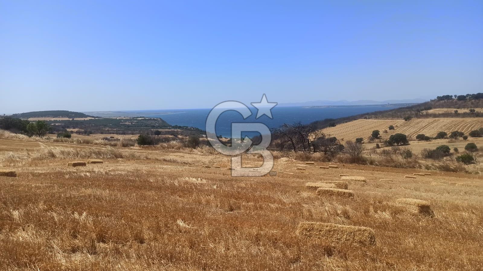 Çanakkale Erenköyde Boğaz Manzaralı Satılık Tarla