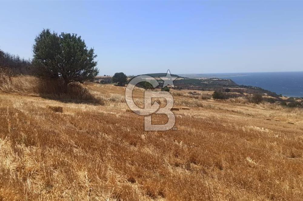 Çanakkale Erenköyde Boğaz Manzaralı Satılık Tarla