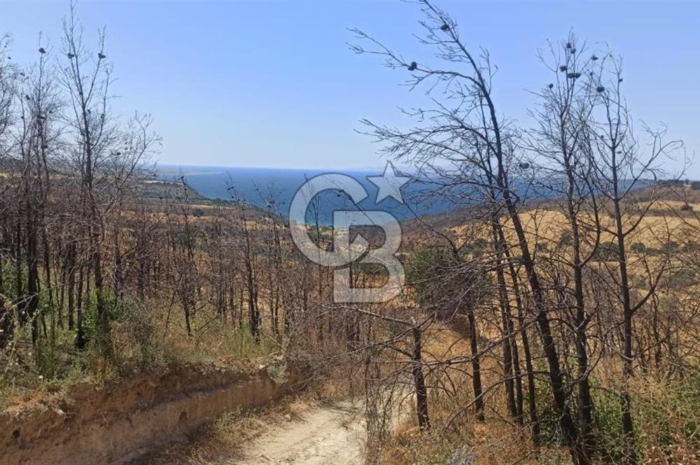 Çanakkale Erenköyde Boğaz Manzaralı Satılık Tarla