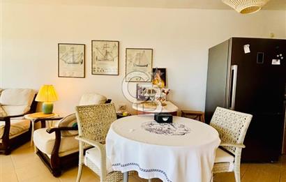 BODRUM GÜMÜŞLÜK KARDAK EVLERİ' nde DENİZ MANZARALI 3+1 VİLLA