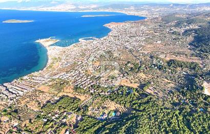 Urla Çeşmealtında 3.813 m² İçinde Deniz Manzaralı Villa Satılık