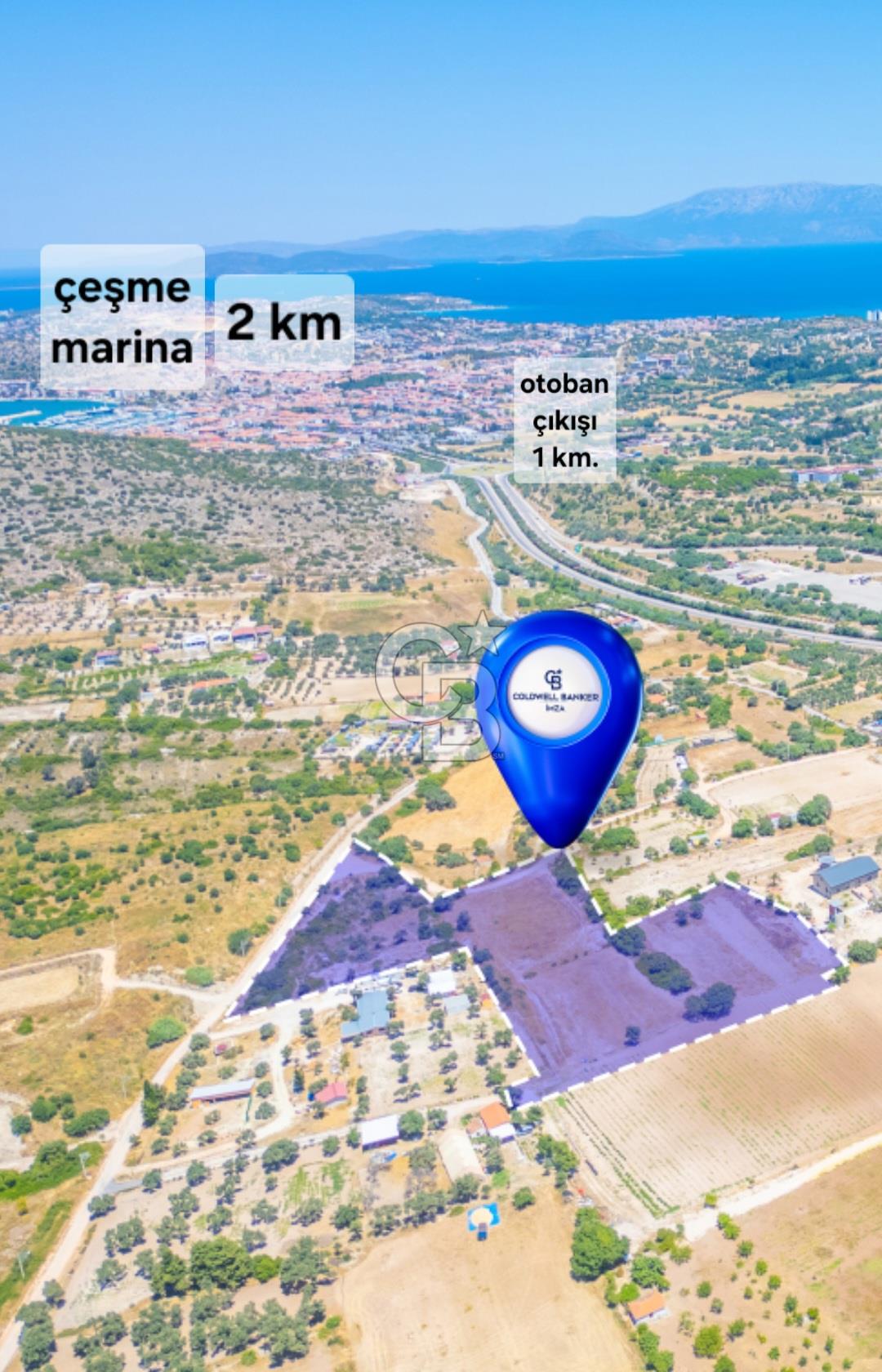 Çeşme Musalla da tarla