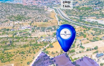 Çeşme Musalla da tarla