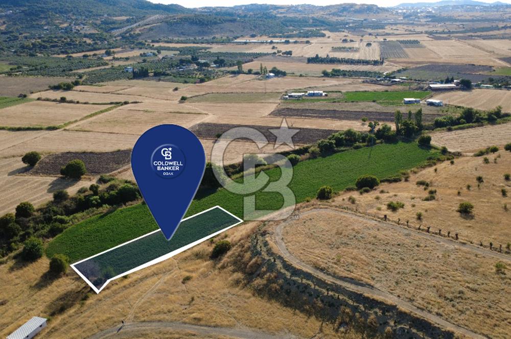CB ODAK'TAN GÜZELHİSAR SATILIK 1.716 m² MÜSTAKİL TAPULU TARLA