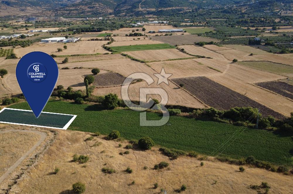 CB ODAK'TAN GÜZELHİSAR SATILIK 1.716 m² MÜSTAKİL TAPULU TARLA