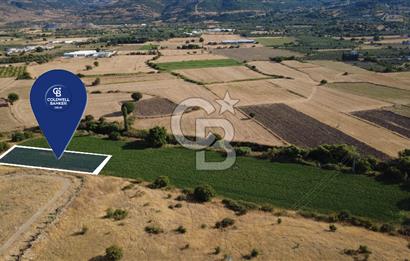 CB ODAK'TAN GÜZELHİSAR SATILIK 1.716 m² MÜSTAKİL TAPULU TARLA