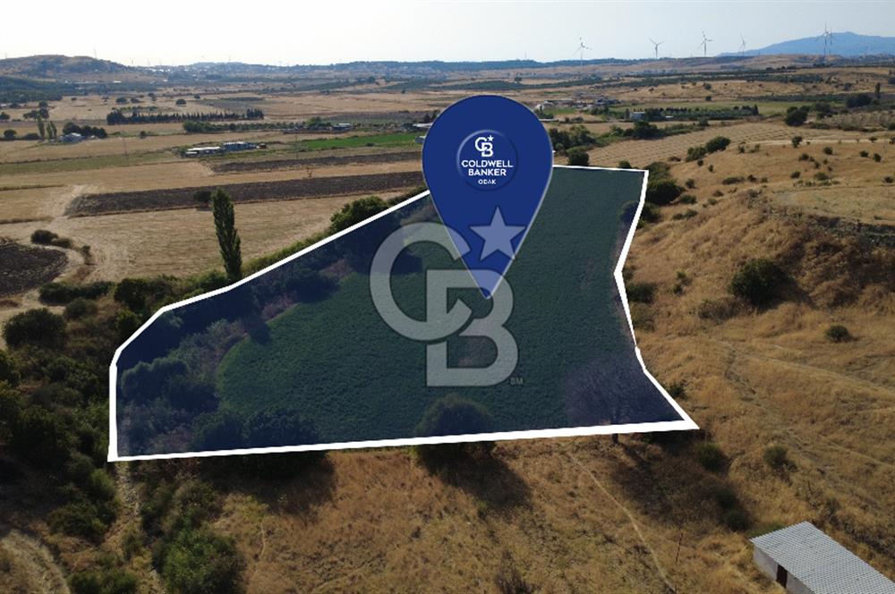 CB ODAK'TAN GÜZELHİSAR SATILIK 1.716 m² MÜSTAKİL TAPULU TARLA