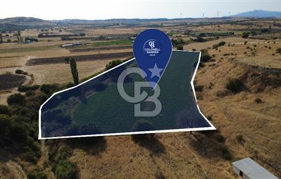 CB ODAK'TAN GÜZELHİSAR SATILIK 1.716 m² MÜSTAKİL TAPULU TARLA