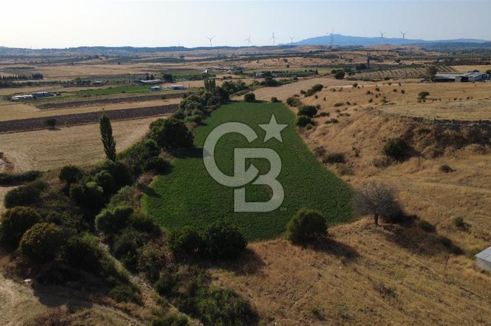 CB ODAK'TAN GÜZELHİSAR SATILIK 1.716 m² MÜSTAKİL TAPULU TARLA