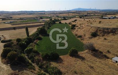 CB ODAK'TAN GÜZELHİSAR SATILIK 1.716 m² MÜSTAKİL TAPULU TARLA