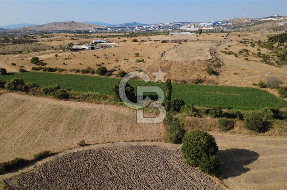CB ODAK'TAN GÜZELHİSAR'DA SATILIK 3.274 m² MÜSTAKİL TAPULU TARLA