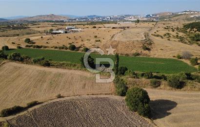 CB ODAK'TAN GÜZELHİSAR'DA SATILIK 3.274 m² MÜSTAKİL TAPULU TARLA
