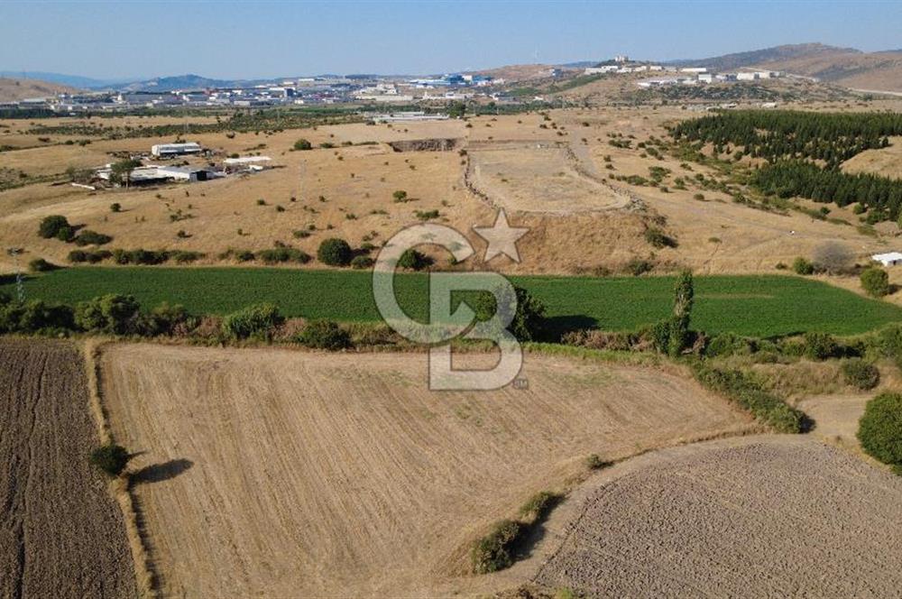CB ODAK'TAN GÜZELHİSAR SATILIK 1.716 m² MÜSTAKİL TAPULU TARLA