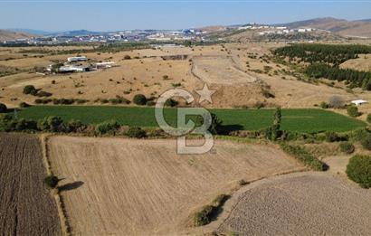 CB ODAK'TAN GÜZELHİSAR SATILIK 1.716 m² MÜSTAKİL TAPULU TARLA