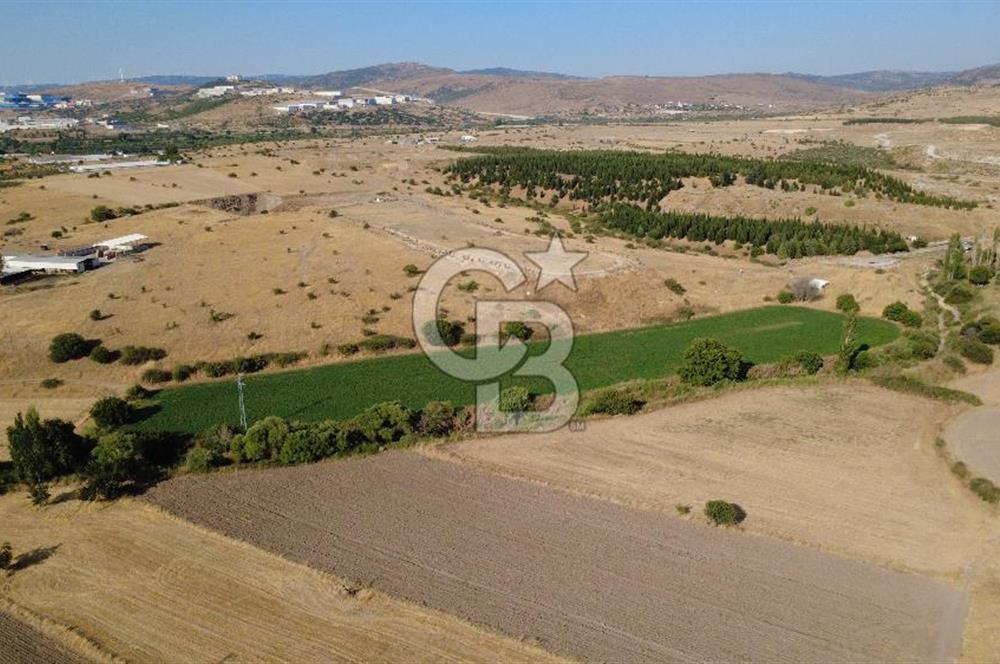 CB ODAK'TAN GÜZELHİSAR'DA SATILIK 3.274 m² MÜSTAKİL TAPULU TARLA
