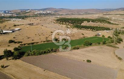CB ODAK'TAN GÜZELHİSAR'DA SATILIK 3.274 m² MÜSTAKİL TAPULU TARLA