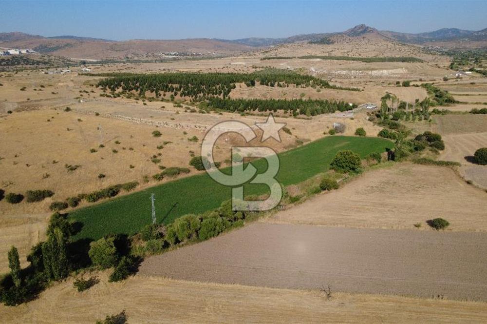 CB ODAK'TAN GÜZELHİSAR'DA SATILIK 3.274 m² MÜSTAKİL TAPULU TARLA