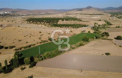 CB ODAK'TAN GÜZELHİSAR'DA SATILIK 3.274 m² MÜSTAKİL TAPULU TARLA