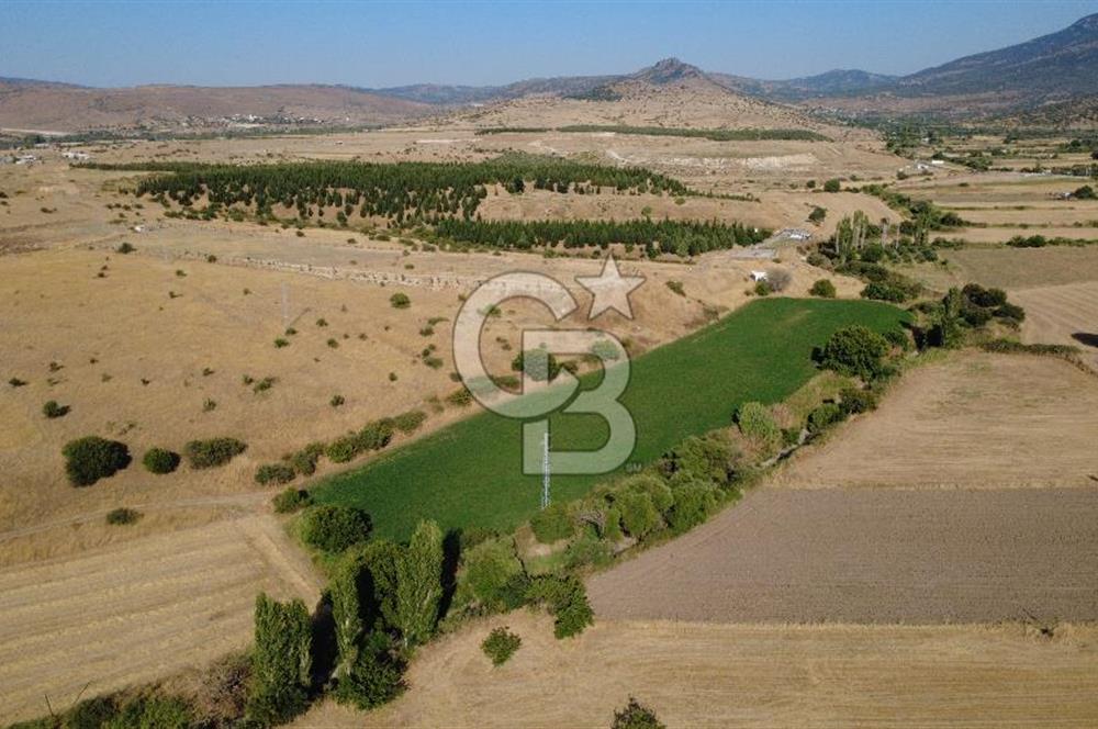 CB ODAK'TAN GÜZELHİSAR SATILIK 1.716 m² MÜSTAKİL TAPULU TARLA