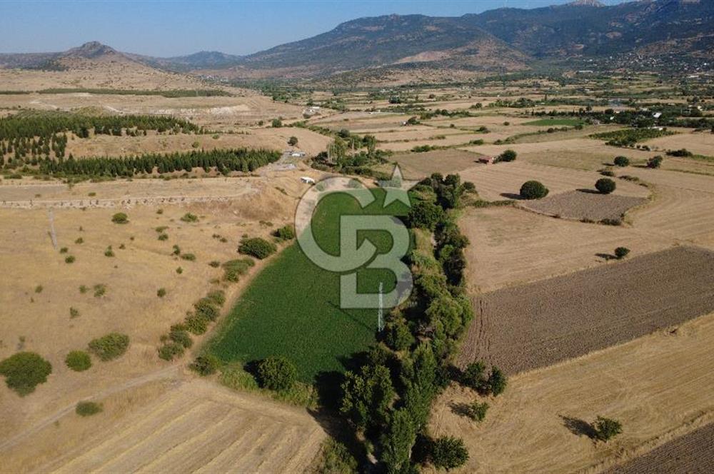 CB ODAK'TAN GÜZELHİSAR SATILIK 1.716 m² MÜSTAKİL TAPULU TARLA