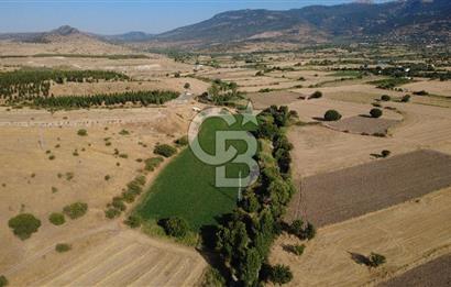 CB ODAK'TAN GÜZELHİSAR SATILIK 1.716 m² MÜSTAKİL TAPULU TARLA