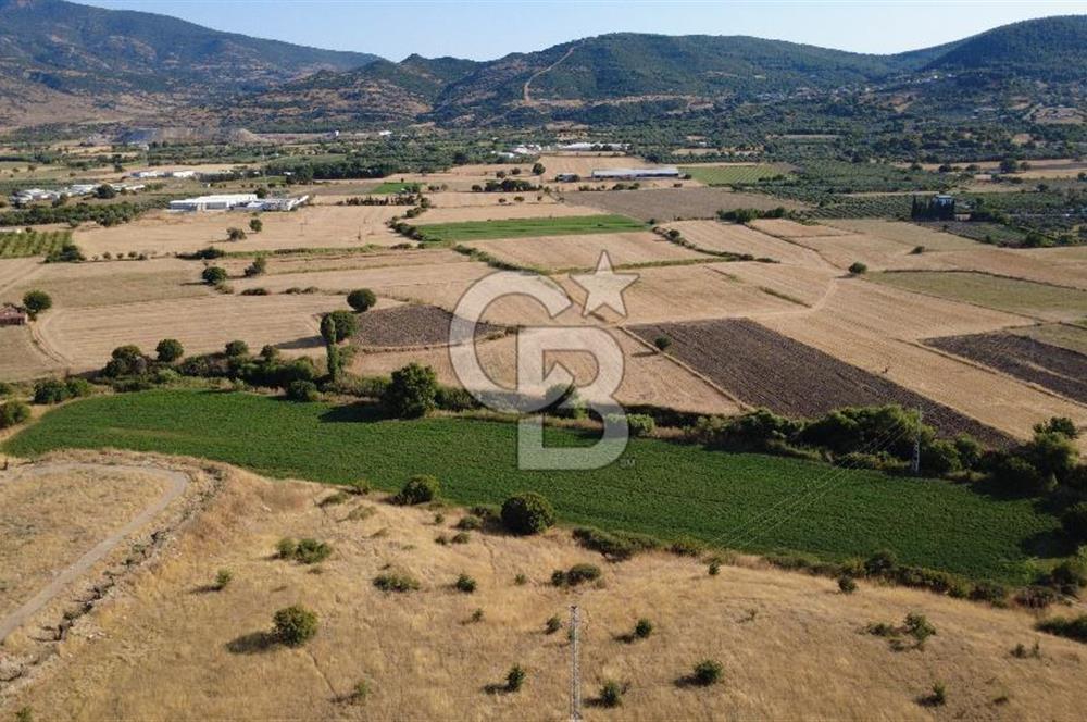 CB ODAK'TAN GÜZELHİSAR SATILIK 1.716 m² MÜSTAKİL TAPULU TARLA