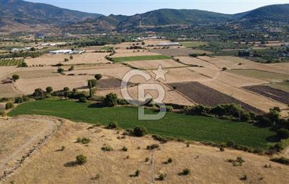 CB ODAK'TAN GÜZELHİSAR SATILIK 1.716 m² MÜSTAKİL TAPULU TARLA