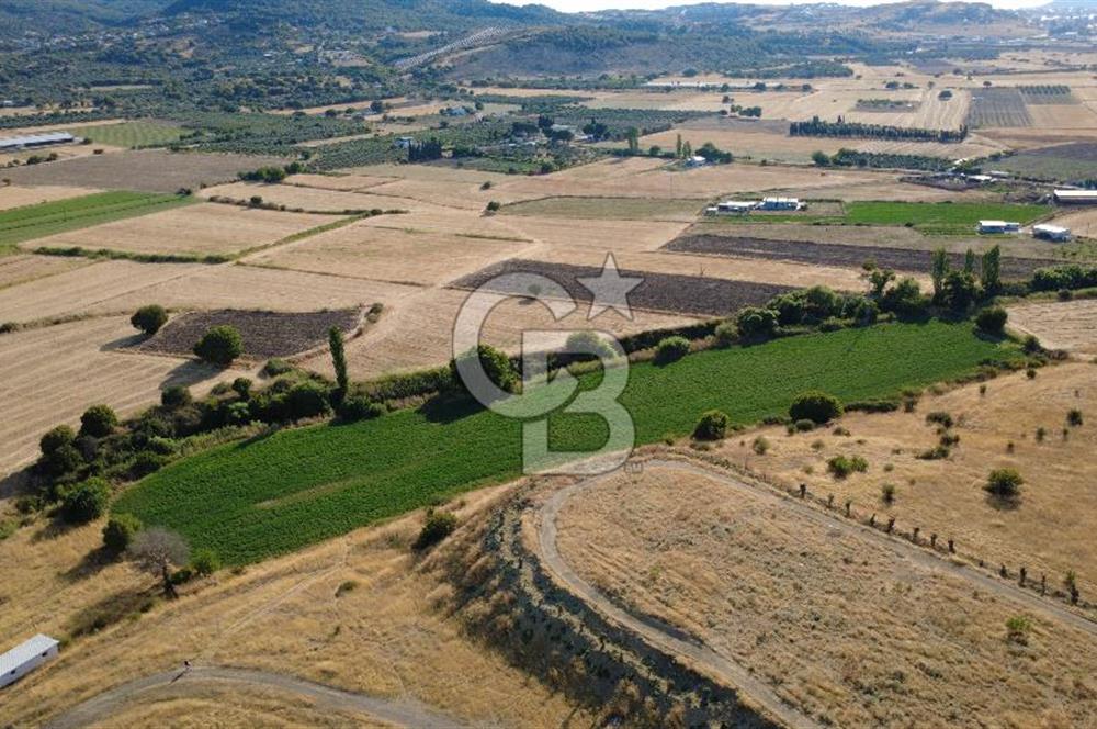 CB ODAK'TAN GÜZELHİSAR'DA SATILIK 3.274 m² MÜSTAKİL TAPULU TARLA