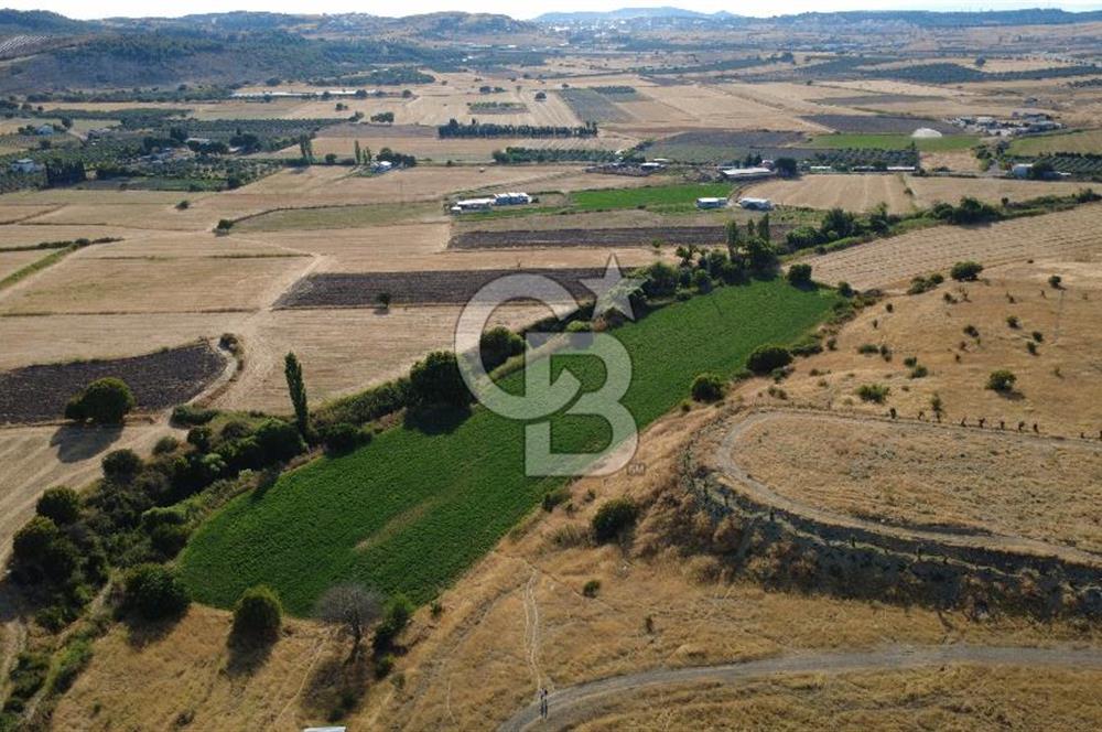 CB ODAK'TAN GÜZELHİSAR SATILIK 1.716 m² MÜSTAKİL TAPULU TARLA