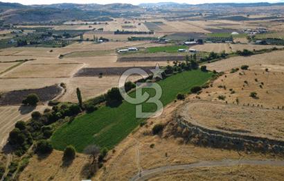 CB ODAK'TAN GÜZELHİSAR SATILIK 1.716 m² MÜSTAKİL TAPULU TARLA