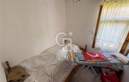 AYVALIK ALTINOVA'DA HUZUR DOLU BİR EGE YAŞAMI