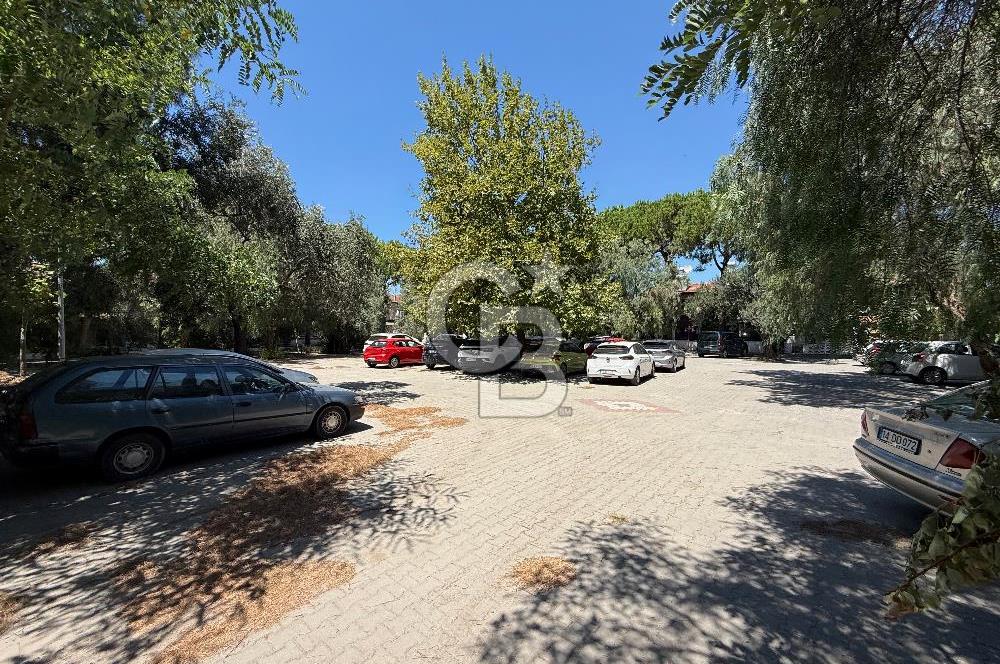 AYVALIK ALTINOVA'DA HUZUR DOLU BİR EGE YAŞAMI