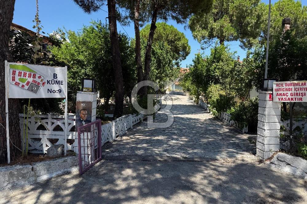 AYVALIK ALTINOVA'DA HUZUR DOLU BİR EGE YAŞAMI