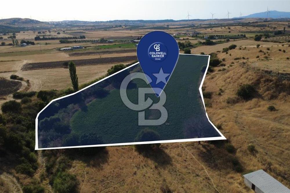 CB ODAK'TAN GÜZELHİSAR SATILIK 1.716 m² MÜSTAKİL TAPULU TARLA