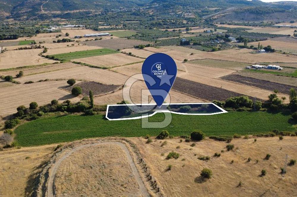 CB ODAK'TAN GÜZELHİSAR'DA SATILIK 3.274 m² MÜSTAKİL TAPULU TARLA