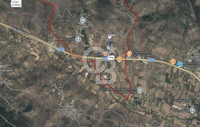 Bodrum Yoluna 400 metre Satılık Zeytinlik