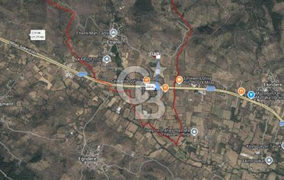 Bodrum Yoluna 400 metre Satılık Zeytinlik