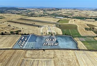 CB KİNG'DEN BALIKESİR/PAŞAKÖY MAHALLESİ 5600m² SATILIK TARLA - 1 - 365669