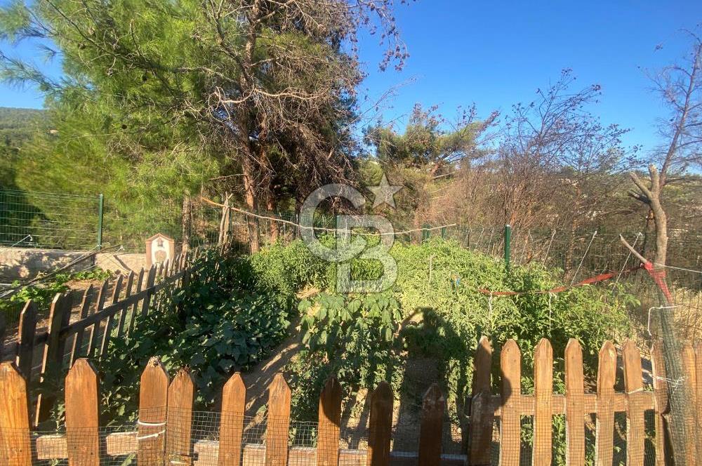 Museland-Yakaköy'de Satılık Tarla: 2+1 Ev, Güneş Panelli, 730m²